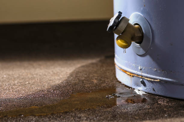 Best Flooded house restoration  in Rockwall, TX