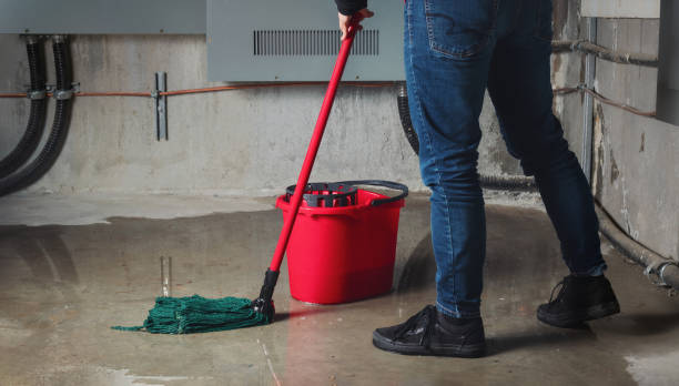 Best Basement water damage restoration  in Rockwall, TX