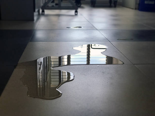 Best 24/7 water damage repair  in Rockwall, TX