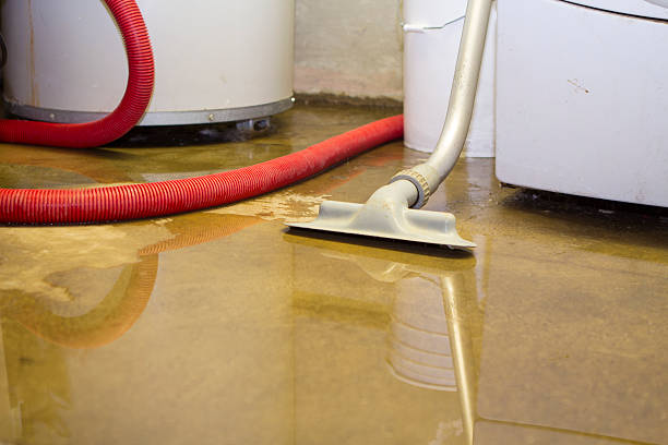  Rockwall, TX Water damage restoration Pros