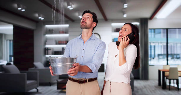 Best Water damage cleanup near me  in Rockwall, TX