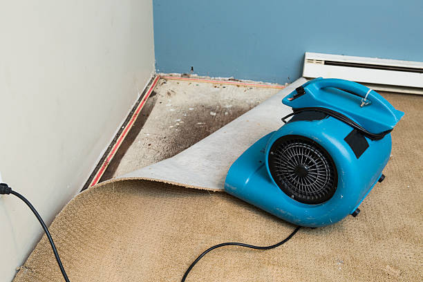 Best Fire Damage Restoration  in Rockwall, TX